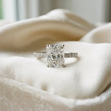 White gold Radiant Cut Diamond Solitaire Pavé Band with Four-Prong Setting_240