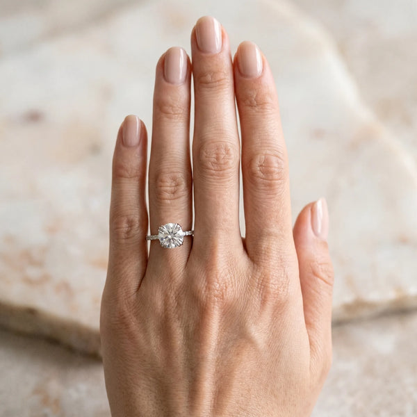 White gold Round Brilliant Solitaire with Pavé Band and Claw Prong Setting