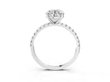 White gold Round Cut Diamond Brilliant Solitaire Ring with Pavé Band and Four-Prong Setting_173