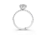 White gold Round Cut Diamond Brilliant Solitaire Ring with Pavé Band and Four-Prong Setting_332