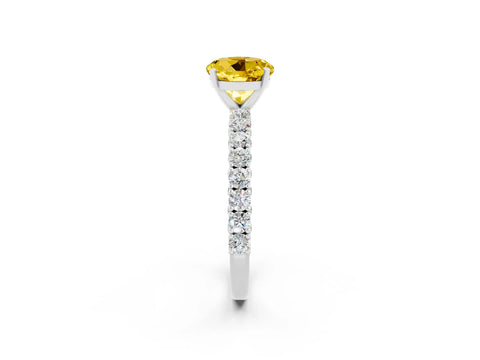 White gold Round Cut Diamond Pavé Band Solitaire Ring with Prong Setting_14