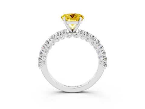 White gold Round Cut Diamond Pavé Band Solitaire Ring with Prong Setting_15