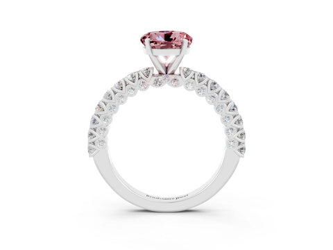 White gold Round Cut Diamond Pavé Band Solitaire Ring with Prong Setting_15