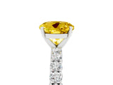 White gold Round Cut Diamond Pavé Band Solitaire Ring with Prong Setting_17