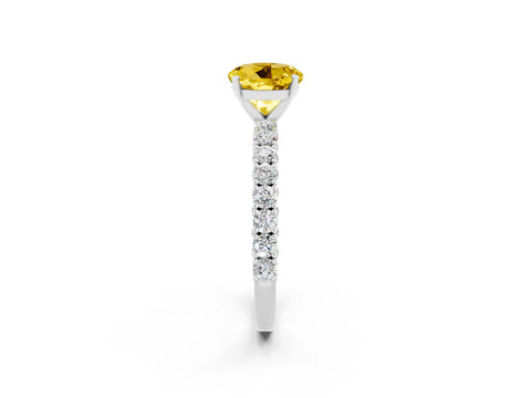 White gold Round Cut Diamond Pavé Band Solitaire Ring with Prong Setting_26