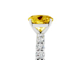 White gold Round Cut Diamond Pavé Band Solitaire Ring with Prong Setting_29