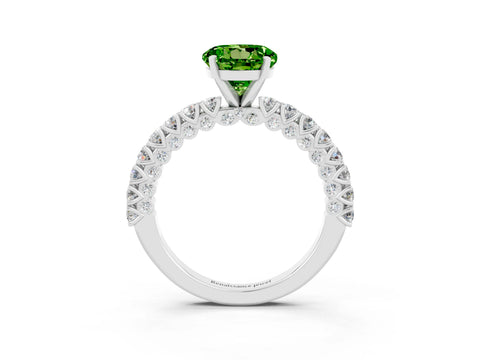 White gold Round Cut Diamond Pavé Band Solitaire Ring with Prong Setting_3