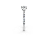 White gold Round Cut Diamond Pavé Band Solitaire Ring with Prong Setting_76