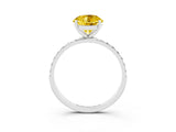 White gold Round Cut Diamond Pavé Band with Six-Prong Setting_3