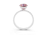 White gold Round Cut Diamond Pavé Band with Six-Prong Setting_3