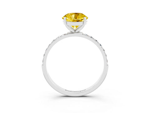 White gold Round Cut Diamond Pavé Band with Six-Prong Setting_3