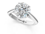 White gold Round Cut Diamond Solitaire Engagement Ring with Cathedral Setting and Four-Prong Mount_309