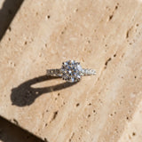 White gold Round Cut Diamond Solitaire Pavé Band with Four-Prong Setting_216