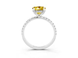 White gold Round Cut Diamond Solitaire Ring with Four-Prong Setting and Pavé Band_3