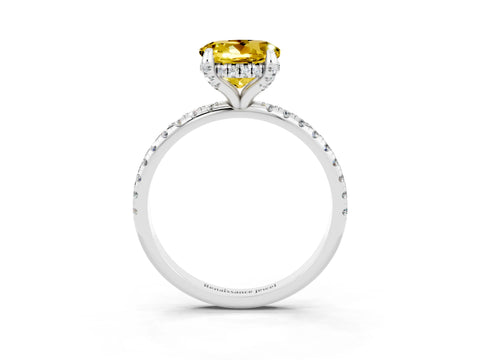 White gold Round Cut Diamond Solitaire Ring with Four-Prong Setting and Pavé Band_3