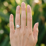 White gold Round Cut Diamond Solitaire Ring with Twist Band and Four-Prong Setting_117