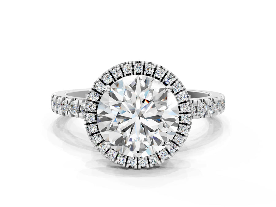 White gold Round Cut Halo Diamond Pave Band with Prong Setting