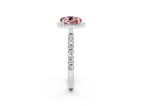 White gold Round Cut Halo Diamond Pave Band with Prong Setting_2