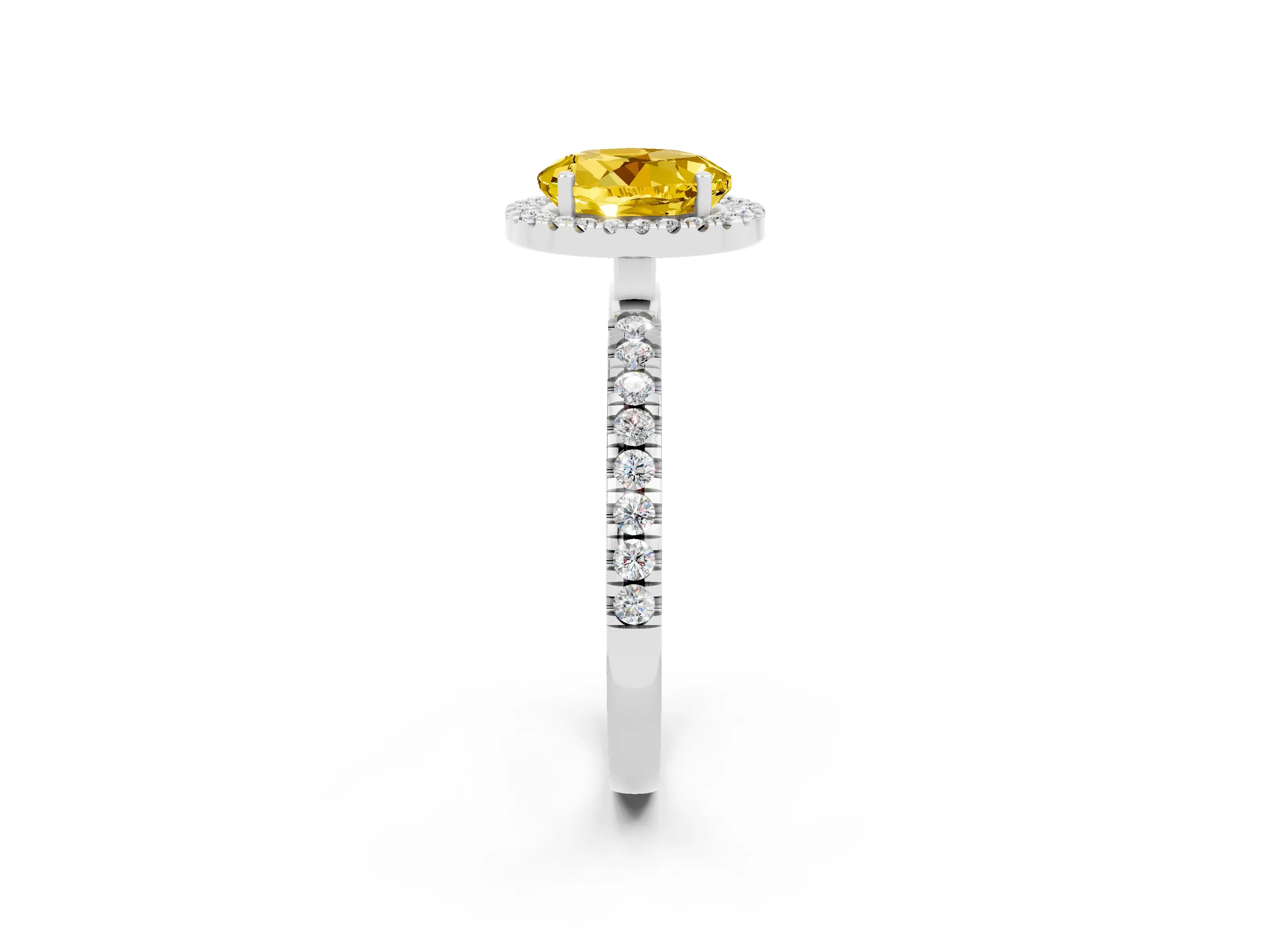 White gold Round Cut Halo Diamond Pave Band with Prong Setting_2