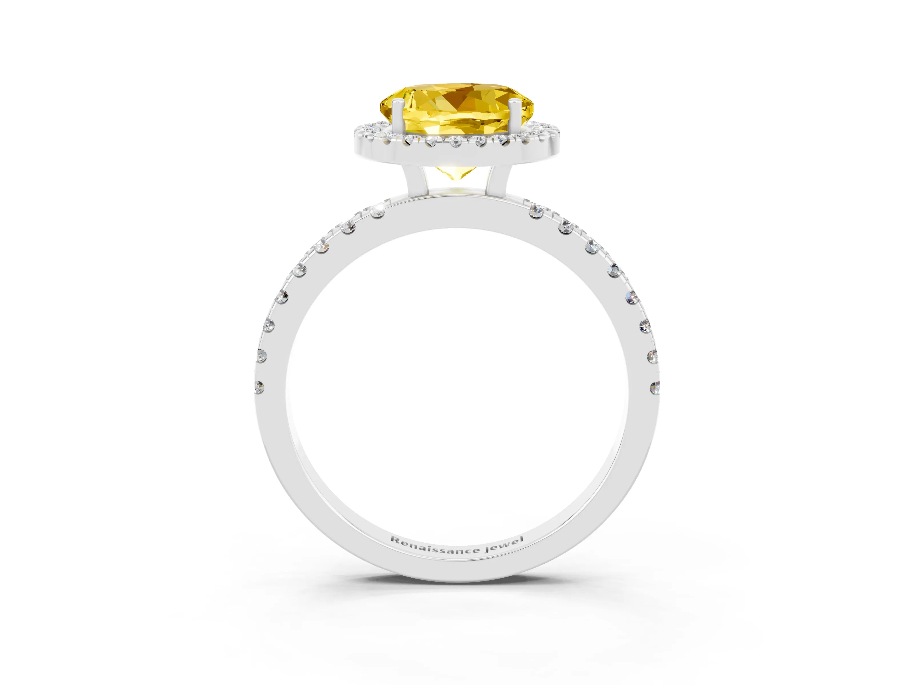 White gold Round Cut Halo Diamond Pave Band with Prong Setting_3
