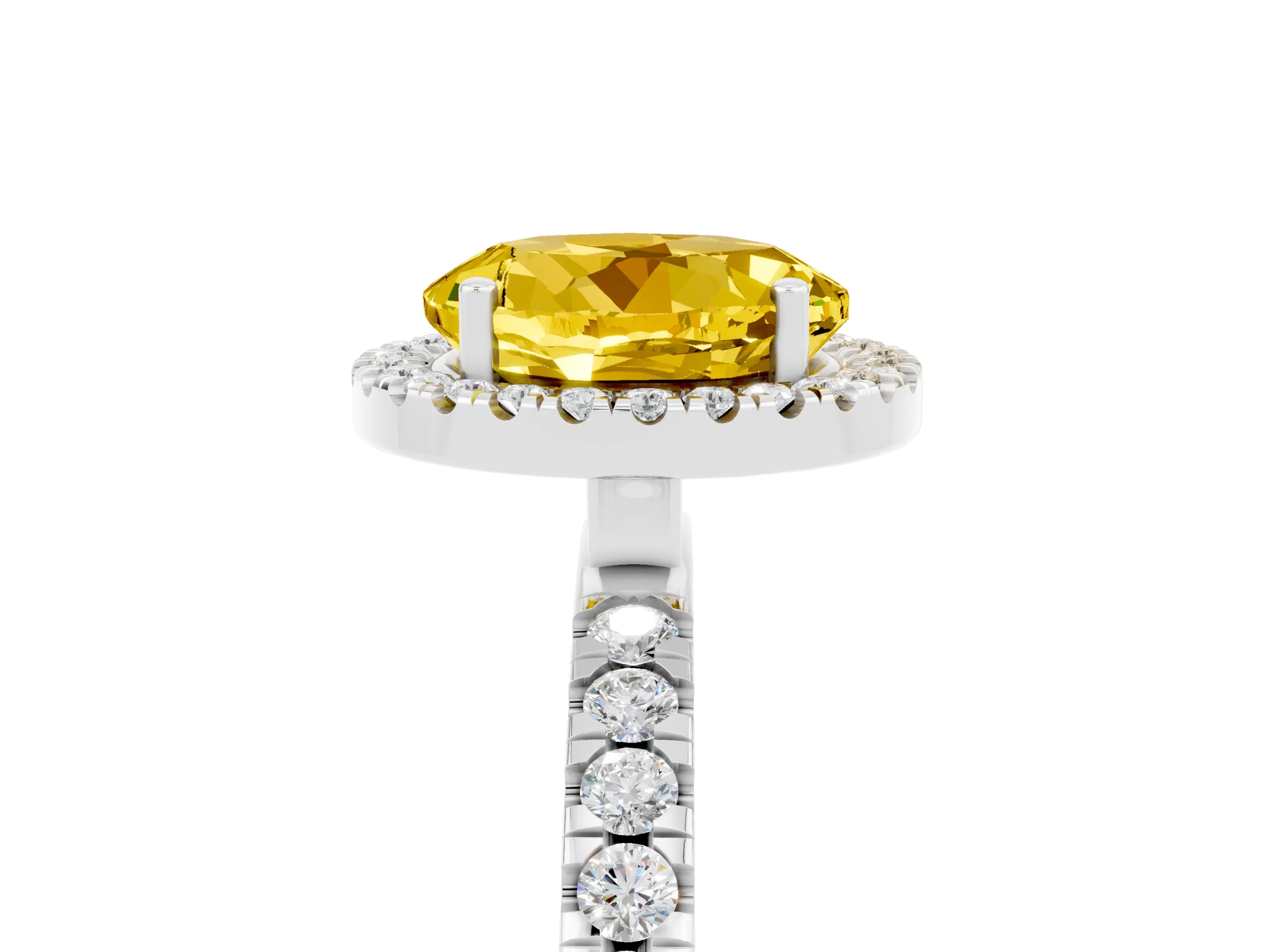 White gold Round Cut Halo Diamond Pave Band with Prong Setting_5
