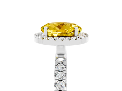 White gold Round Cut Halo Diamond Pave Band with Prong Setting_5