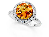 White gold Round Cut Halo Round Diamond Pavé Band Four-Prong Ring_1