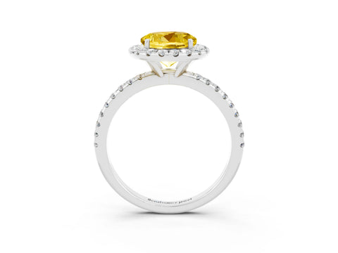 White gold Round Cut Halo Round Diamond Pavé Band Four-Prong Ring_3