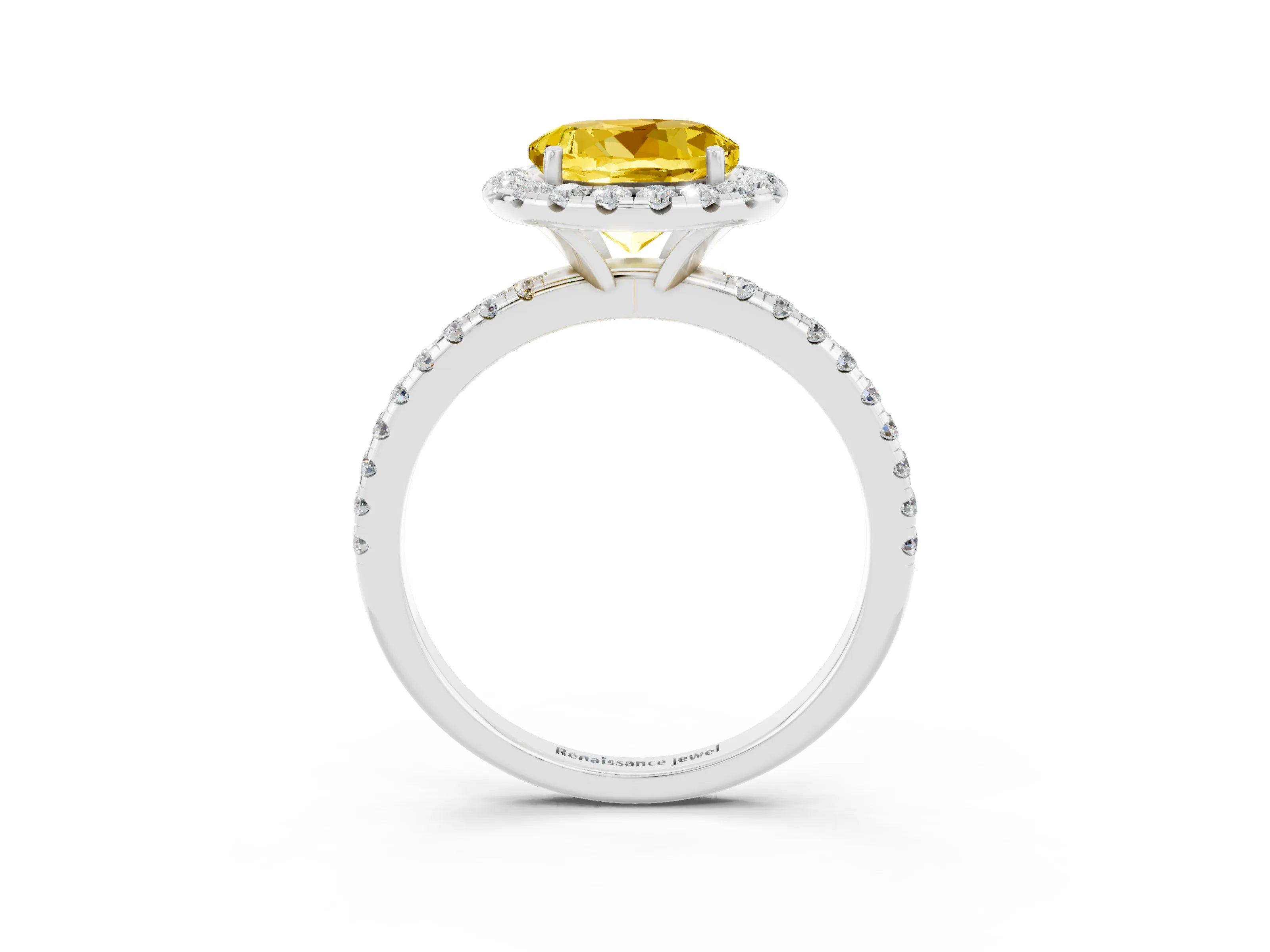 White gold Round Cut Halo Round Diamond Pavé Band Four-Prong Ring_3
