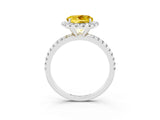 White gold Round Cut Halo Round Diamond Pavé Band Four-Prong Ring_3
