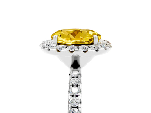 White gold Round Cut Halo Round Diamond Pavé Band Four-Prong Ring_5