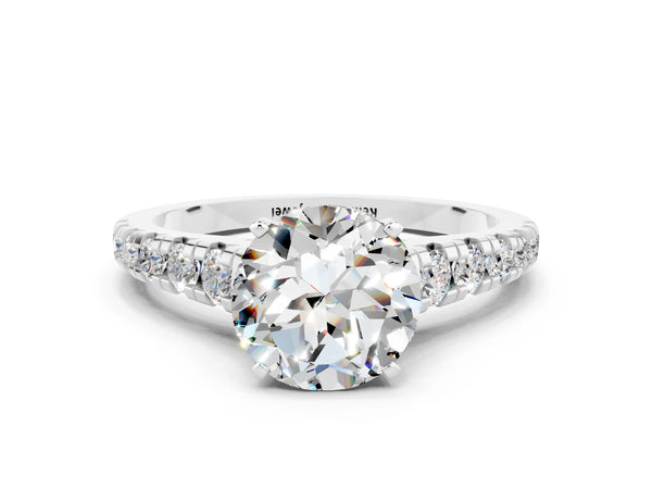 Platinum Round Cut Moissanite Cathedral Solitaire Ring with Round  Pavé Band