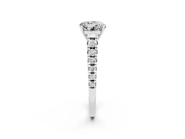 Platinum Round Cut Moissanite Cathedral Solitaire Ring with Round  Pavé Band