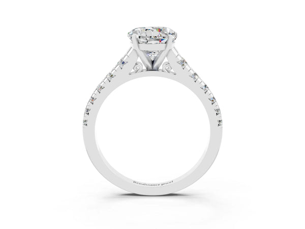 White gold Round Cut Moissanite Cathedral Solitaire Ring with Round  Pavé Band