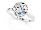 White gold Round Cut Moissanite Solitaire Ring with Flower Prong Setting and Classic Band_14