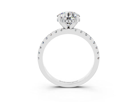 White gold Round Cut Moissanite Solitaire Ring with Pavé Band and Four-Prong Setting_27