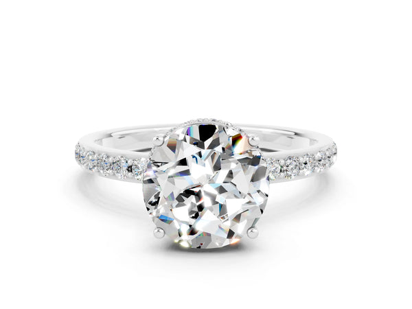 Platinum Round Cut Moissanite Solitaire Ring with Pavé Band and Hidden Halo