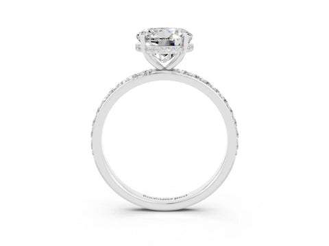 White gold Round Cut Moissanite Solitaire Ring with Pavé Band and Hidden Halo_3