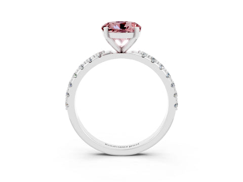 White gold Round Cut Morganite Solitaire Pavé Band with Four-Prong Setting_3