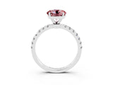 White gold Round Cut Morganite Solitaire Ring with Pavé Accents and Four-Prong Setting_3