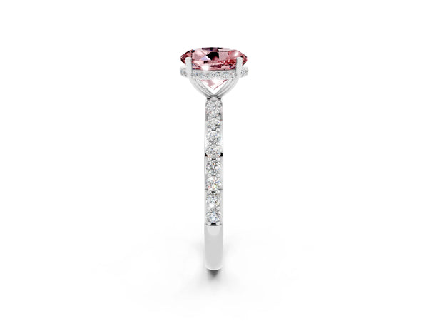 Platinum Round Cut Morganite Solitaire Ring with Pavé Band and Hidden Halo