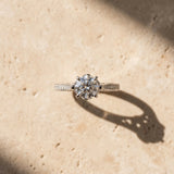 White gold Round Cut Solitaire Diamond Ring with Pavé Band and Six-Prong Setting_28