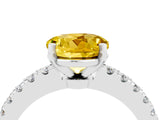 White gold Round Cut Solitaire Diamond with Pavé Band and Four-Prong Setting_4