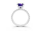 White gold Round Cut Tanzanite Pavé Solitaire Ring with Round Band and Prong Setting_39