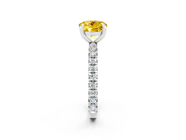 White gold Round Cut Yellow Sapphire Pavé Solitaire Ring with Round Band and Prong Setting