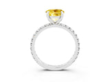 White gold Round Cut Yellow Sapphire Pavé Solitaire Ring with Round Band and Prong Setting_15
