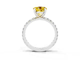 White gold Round Cut Yellow Sapphire Pavé Solitaire Ring with Round Band and Prong Setting_39