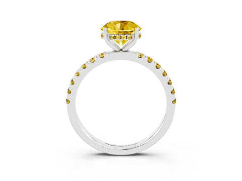 White gold Round Cut Yellow Sapphire Pave Band Solitaire Ring with Four-Prong Setting_15