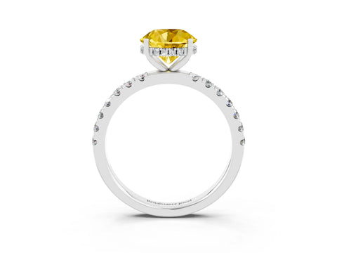 White gold Round Cut Yellow Sapphire Pave Band Solitaire Ring with Four-Prong Setting_63