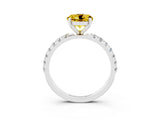 White gold Round Cut Yellow Sapphire Solitaire Pavé Band with Four-Prong Setting_27